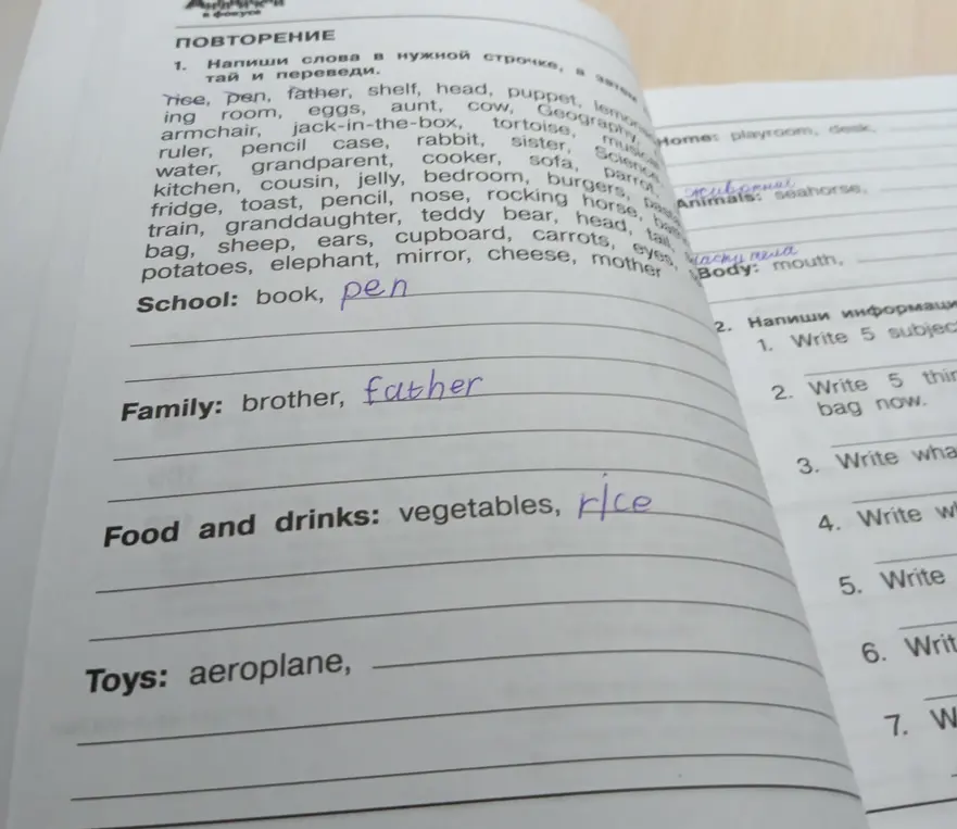 Заполни слова в нужной строчке: School, Family, Food and drinks, Toys