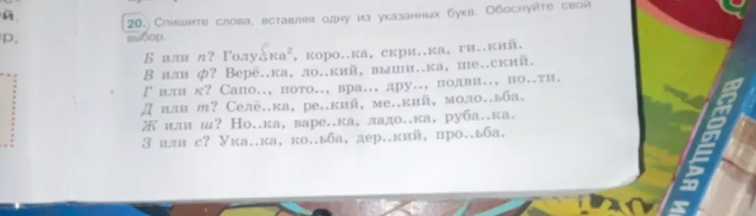 Вставь правильную букву в слова: Голу?ка, коро..ка, скри..ка, ги..кий.