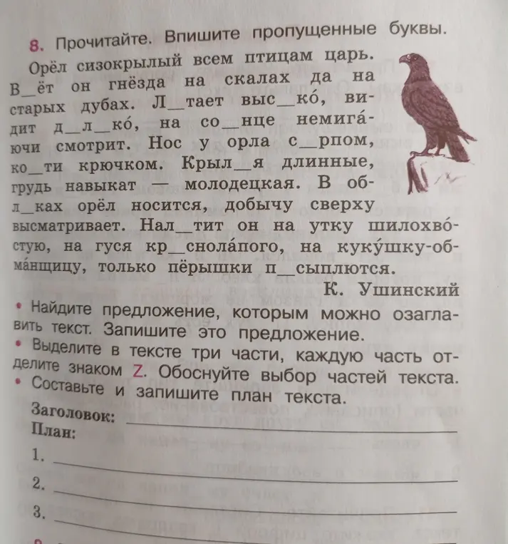 Как выполнить упражнение: вставь пропущенные буквы, подбери заголовок, раздели текст на три части и составь план текста?