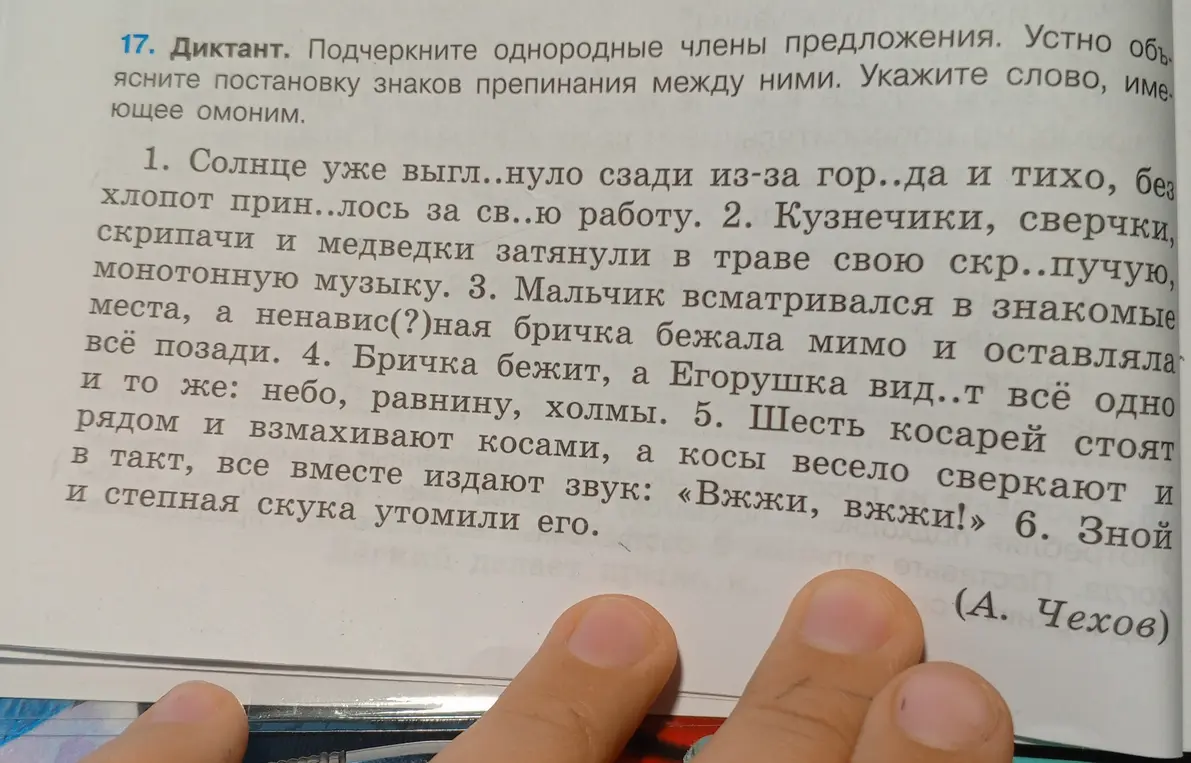 Подчеркни однородные члены предложения в диктанте