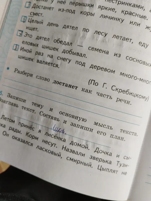 Ты просишь разобрать слово "достанет" как часть речи, определить тему и основную мысль текста про лисёнка, озаглавить текст и составить его план.