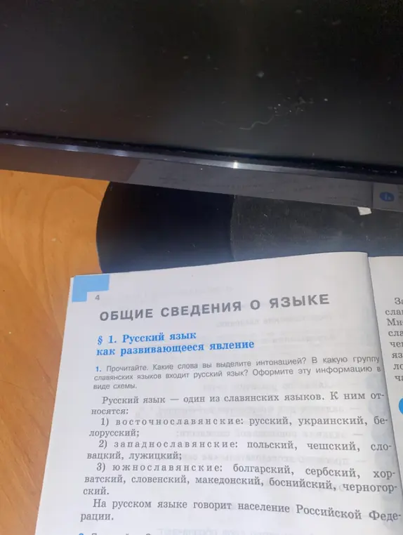 Какие слова ты выделишь интонацией и в какую группу славянских языков входит русский язык?