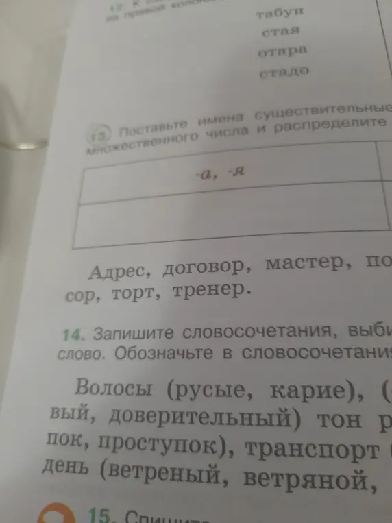 Поставь имена существительные во множественном числе и распредели в задании под номером 13