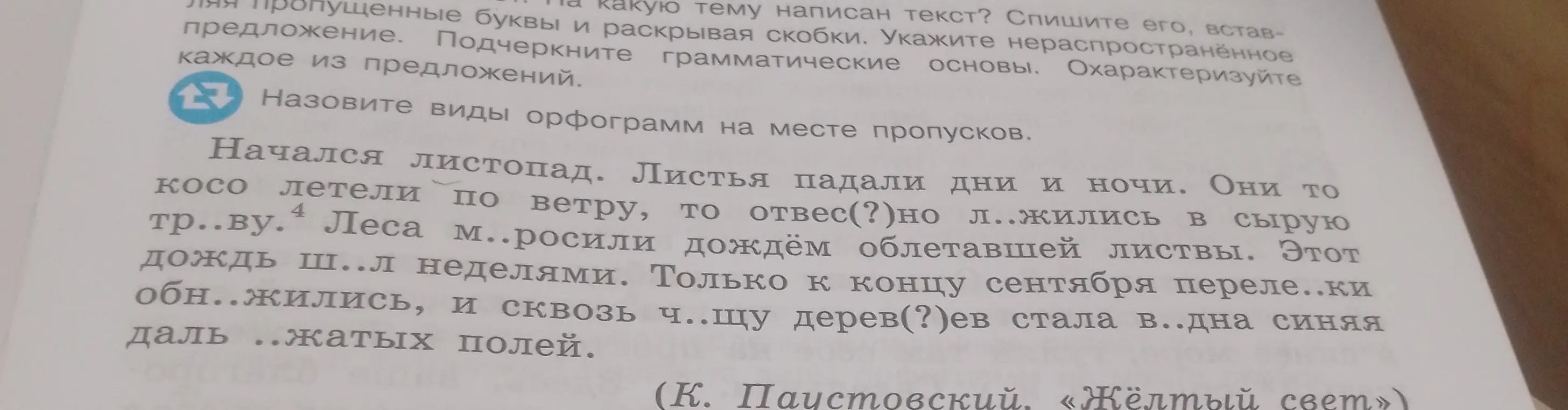 Назови виды орфограмм на месте пропусков в тексте