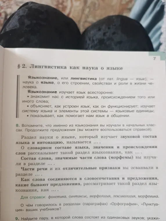 Вспомни, что именно из языкознания изучал в начальных классах и продолжи предложения