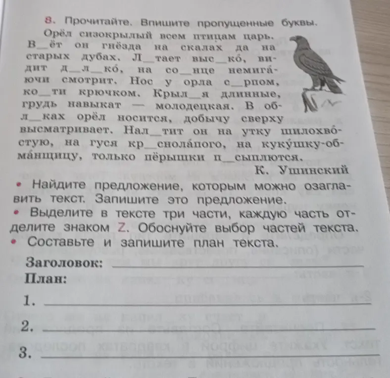 Заполни пропущенные буквы в тексте; Найди предложение, которым можно озаглавить текст; Выдели в тексте три части, каждую часть отдели знаком Z; Составь и запиши план текста.
