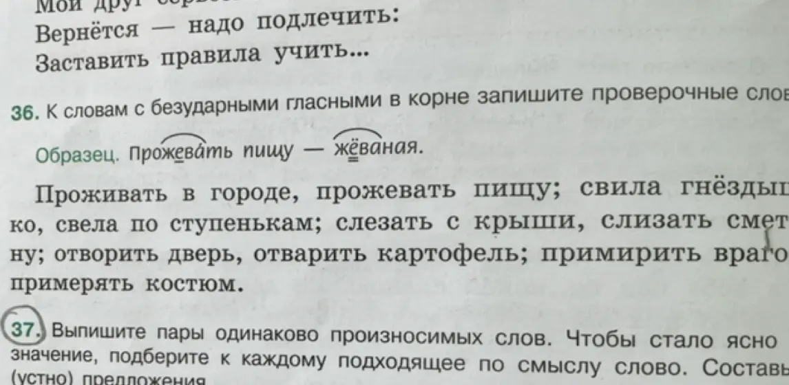 К словам с безударными гласными в корне запиши проверочные слова и выпиши пары одинаково произносимых слов