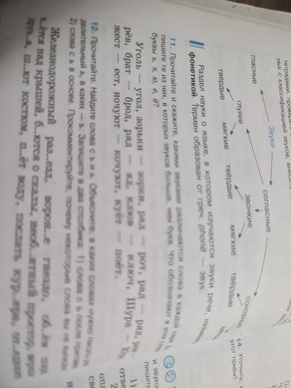 Объясни, какими звуками различаются слова в каждой паре в задании 11 и определи, в каких словах в задании 12 нужно писать разделительный ь, а в каких - ь.