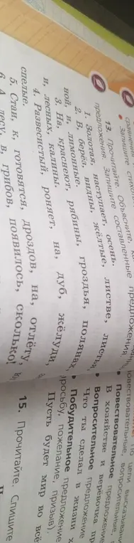 Составь предложения из слов в упражнении 13