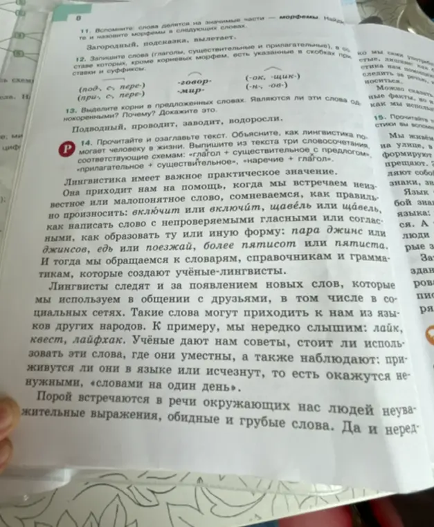 Объясни, как лингвистика может многое рассказать человеку в жизни и что нового я узнал из текста.
