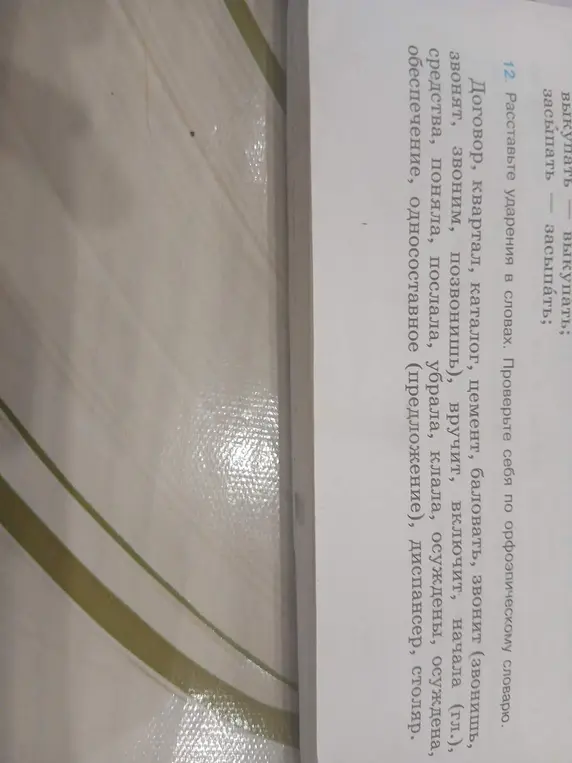 Помоги расставить ударения в словах из упражнения.