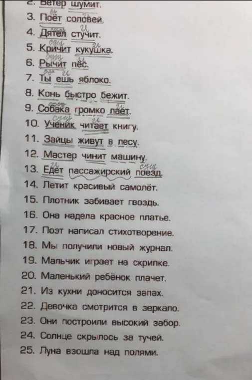 Сделай синтаксический разбор предложений: 2. Ветер шумит.