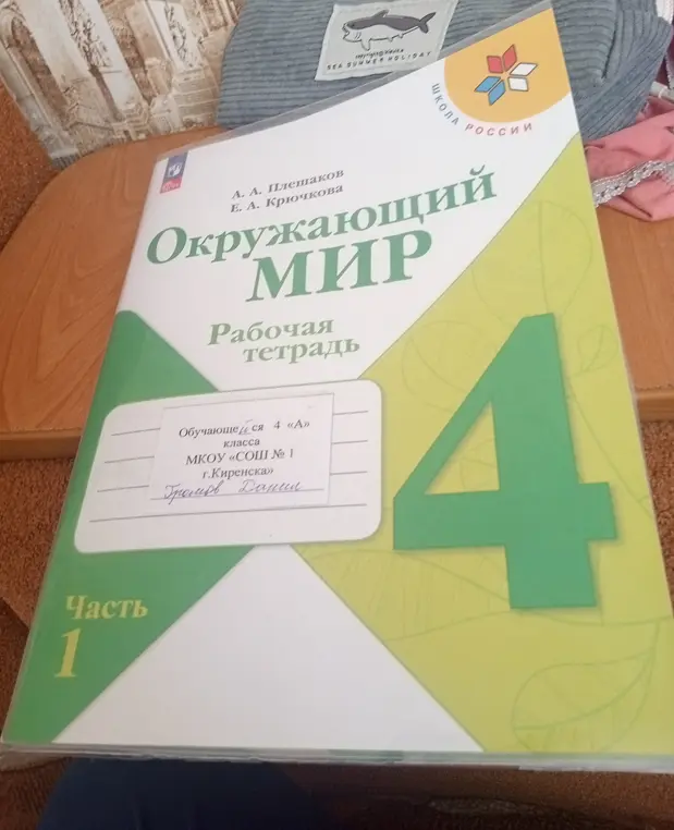 Что ты знаешь об этой тетради "Окружающий мир" для 4 класса?