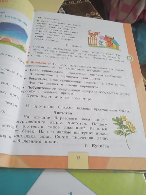 Вставь пропущенные буквы в слова в тексте про чистотел