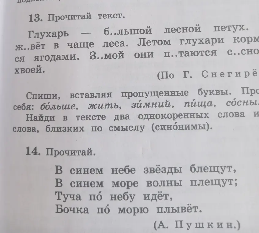 Помоги вставить пропущенные буквы в тексте про глухаря.