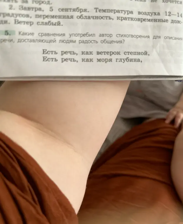 Какие сравнения употребил автор стихотворения для описания речи, доставляющей людям радость общения?