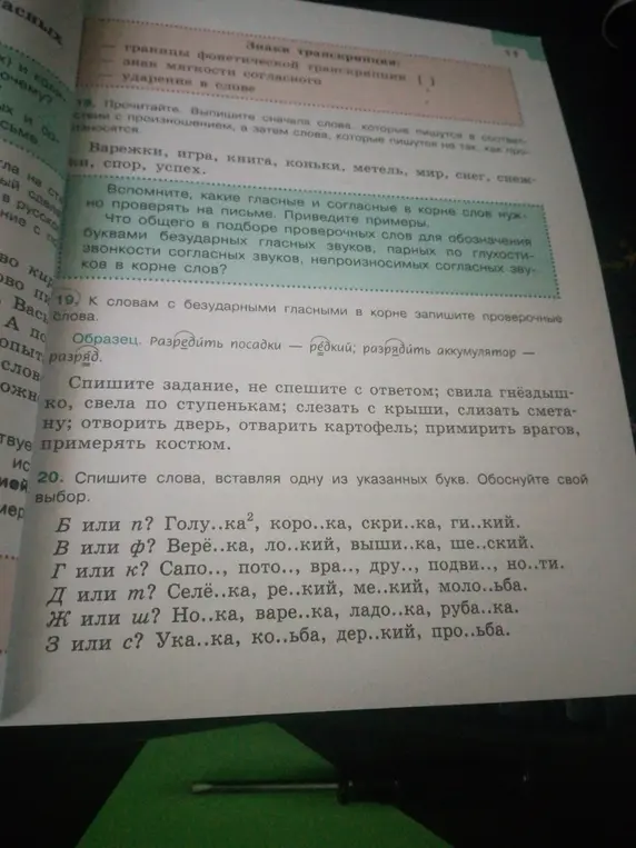 Спиши слова, вставляя одну из указанных букв в задании 20
