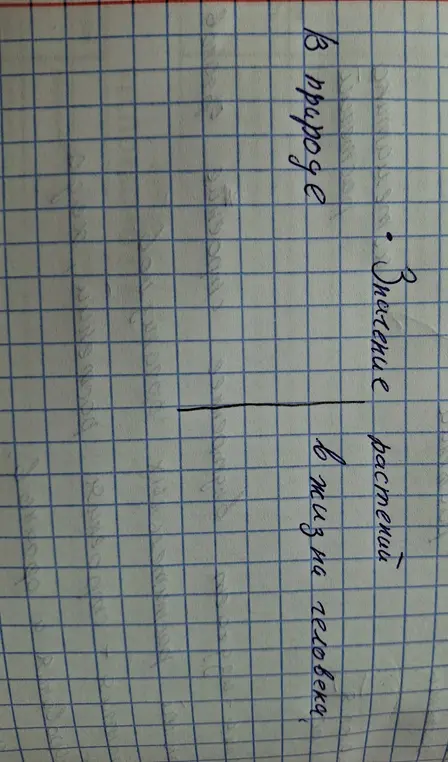 Ты просишь рассказать о значении растений в природе и в жизни человека.