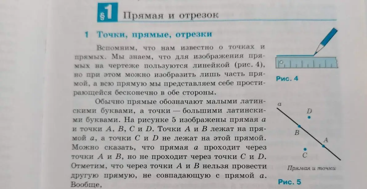 Объясни, что рассказывается в тексте про прямые и отрезки