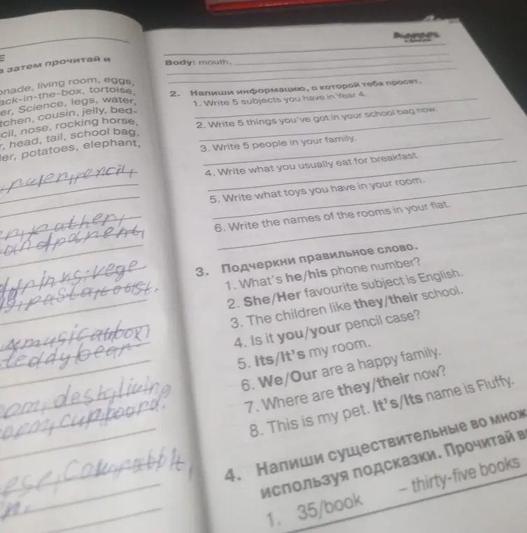 Выполни задание: Подчеркни правильное слово. What's he/his phone number?