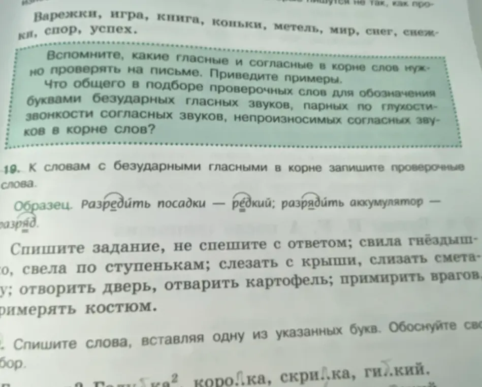 Подбери проверочные слова к словам с безударными гласными в корне в упражнении №19