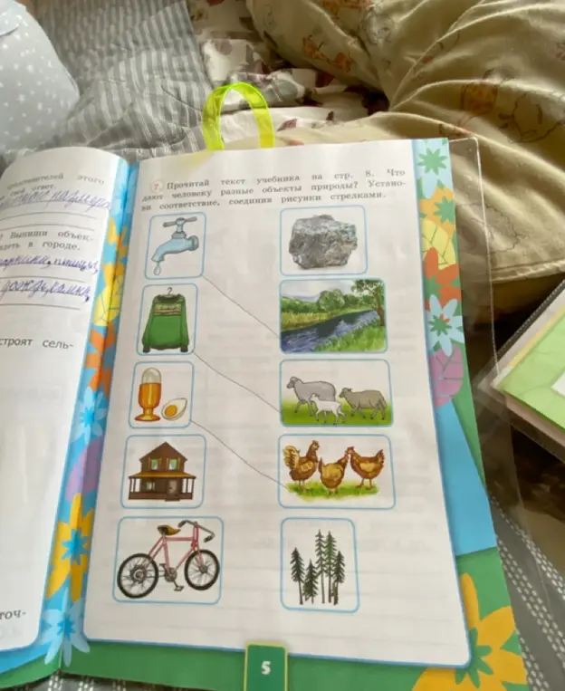 Что дают человеку разные объекты природы, установи соответствие и соедини рисунки стрелками.