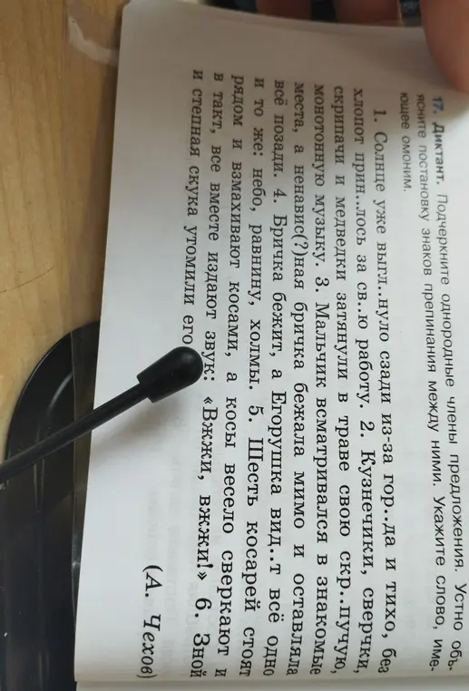 Подчеркни однородные члены предложения в диктанте и устно объясни постановку знаков препинания между ними. Укажи слово, имеющее омоним.