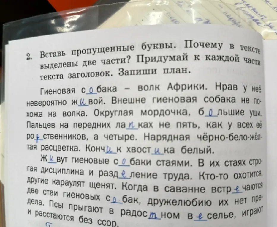 Помоги мне вставить пропущенные буквы, объяснить, почему в тексте выделены две части, придумать заголовки к каждой части текста и записать план.