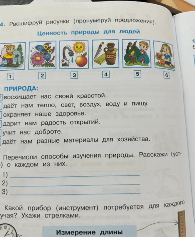 Помоги расшифровать рисунки и пронумеровать предложения