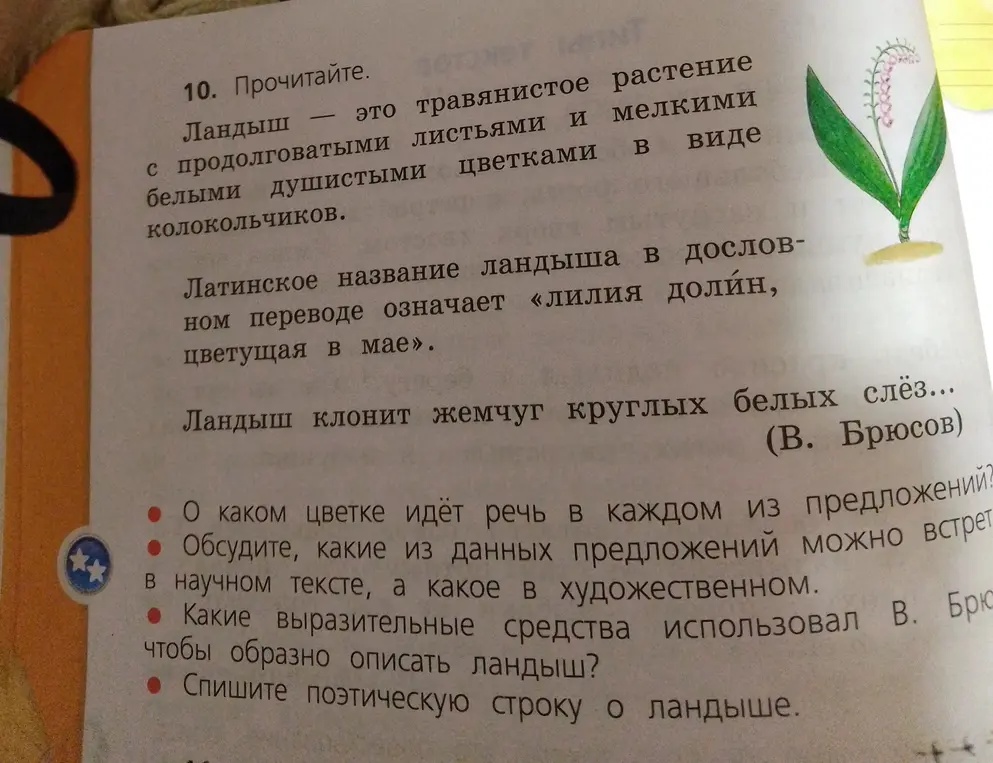 Ответь на вопросы: О каком цветке идёт речь в каждом из предложений?