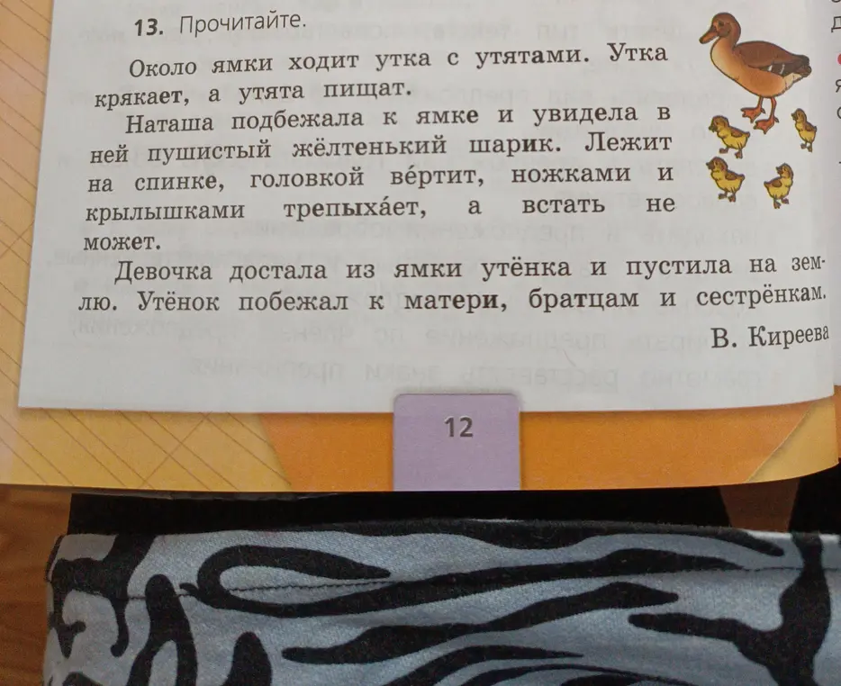 О чём говорится в тексте про утку с утятами?