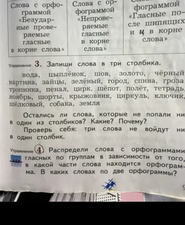 Выполни упражнение: запиши слова в три столбика