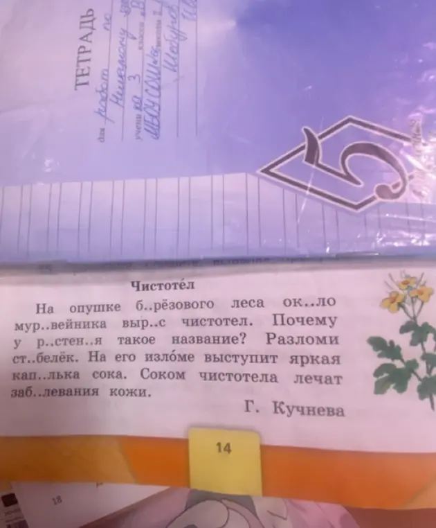 Объясни, какие предложения по цели высказывания встретились в тексте, с какой целью они употреблены автором, и подчеркни побудительное предложение.