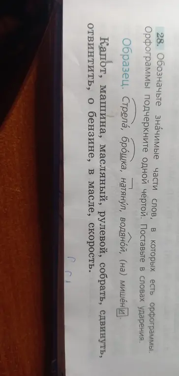 Обозначь значимые части слов, в которых есть орфограммы.