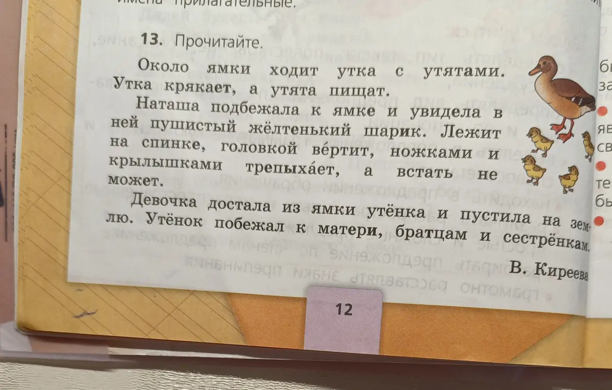 О чём говорится в тексте про утку с утятами и девочку Наташу?