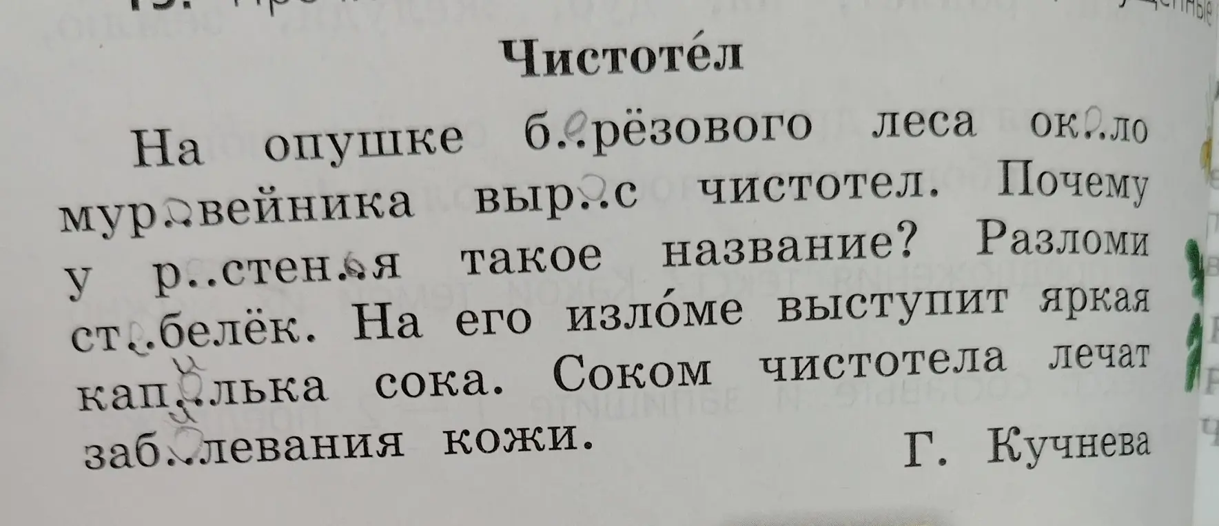 Вставь пропущенные буквы в слова в тексте про чистотел
