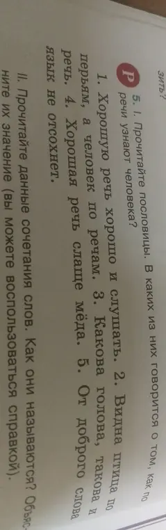 В каких пословицах говорится о том, как по речи узнают человека?