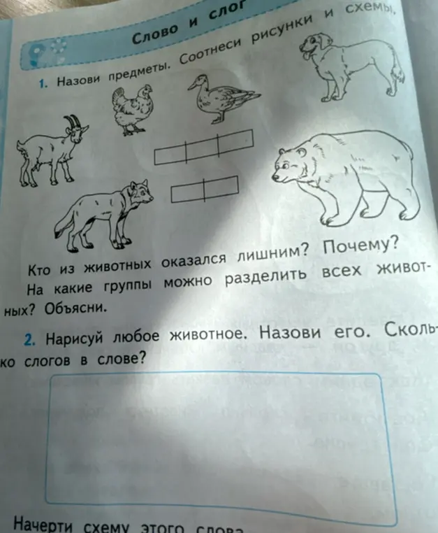 Предложи назвать предметы, определить, кто лишний и объяснить почему, на какие группы разделить животных