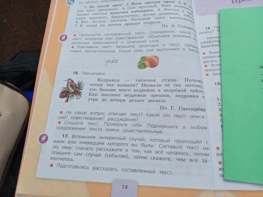 Ответь на вопросы к упражнению 16: на какой вопрос отвечает текст, какой это текст, спиши текст и подчеркни имена существительные. Выполни задания к тексту про орех: определи, какой это текст, озаглавь текст, запиши заголовок и выпиши имена прилагательные.