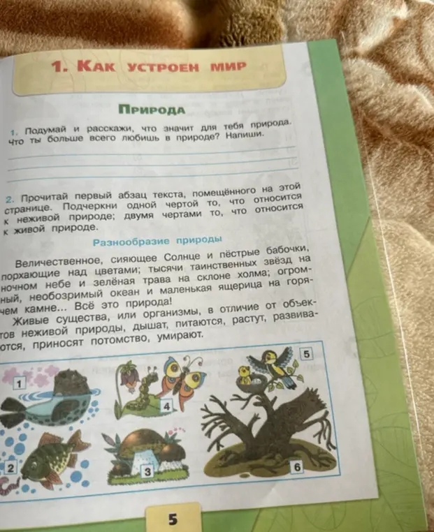Прочитай первый абзац текста, помещённого на этой странице. Подчеркни одной чертой то, что относится к неживой природе; двумя чертами то, что относится к живой природе.