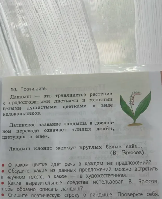 Ты поможешь мне ответить на вопросы к тексту про ландыш?