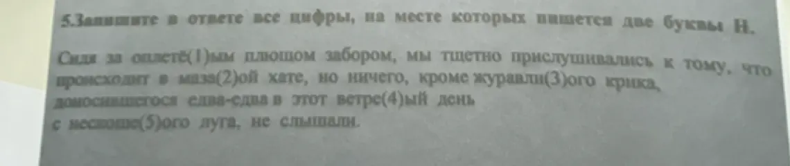 Напиши в ответе все цифры, на месте которых пишется две буквы Н