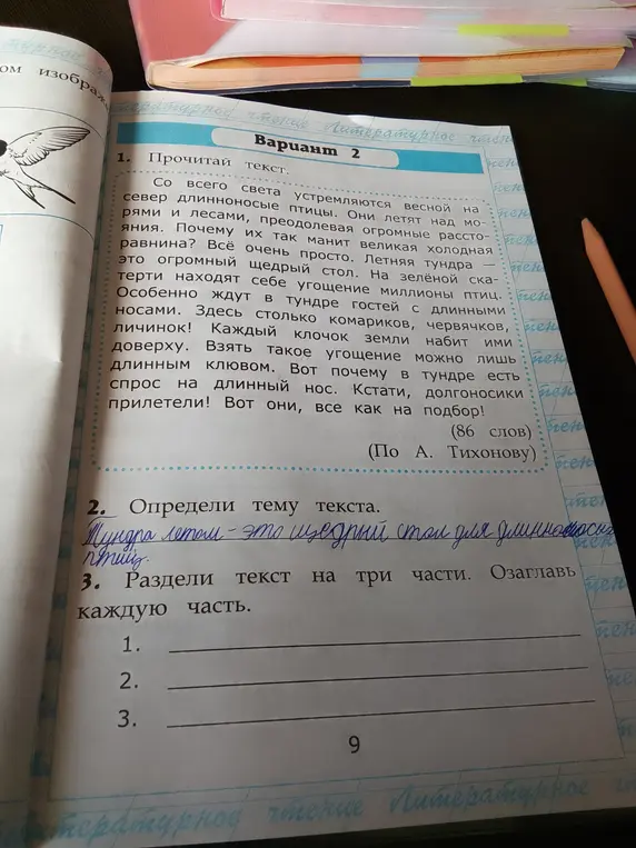 Помоги определить тему и разделить на части текст про тундру и птиц.