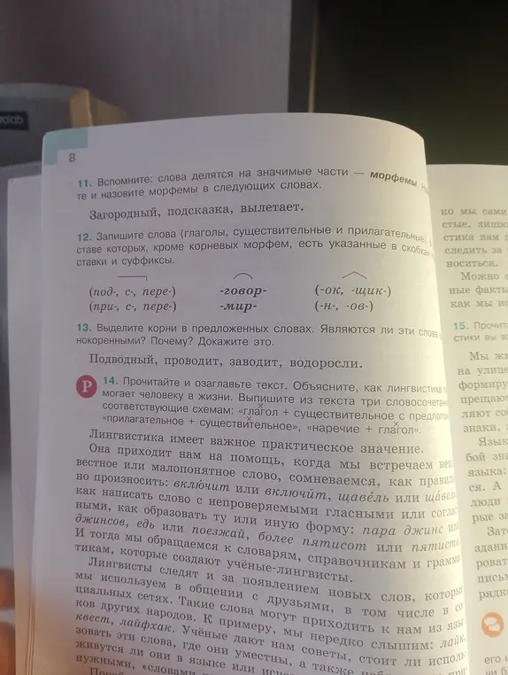 Можешь ли ты назвать морфемы в словах: загородный, подсказка, вылетает?