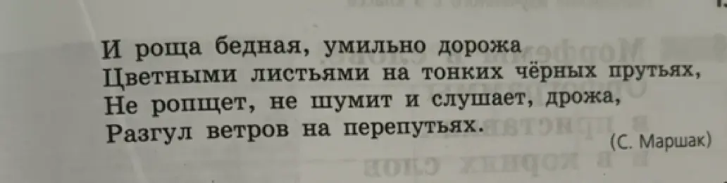 Выполни для стихотворения задание: а) выпиши слова с безударной е в корнях; б) выпиши одно слово с оглушением звонкого согласного на конце и сделай фонетический разбор выделенных слов.
