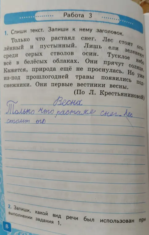 Определи, какой вид речи был использован при списывании текста.