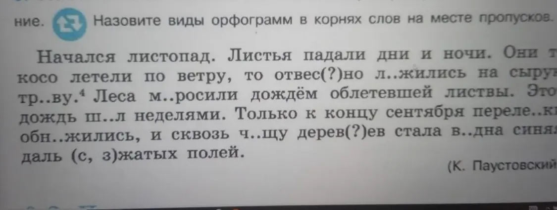Назови виды орфограмм в корнях слов на месте пропусков в тексте.