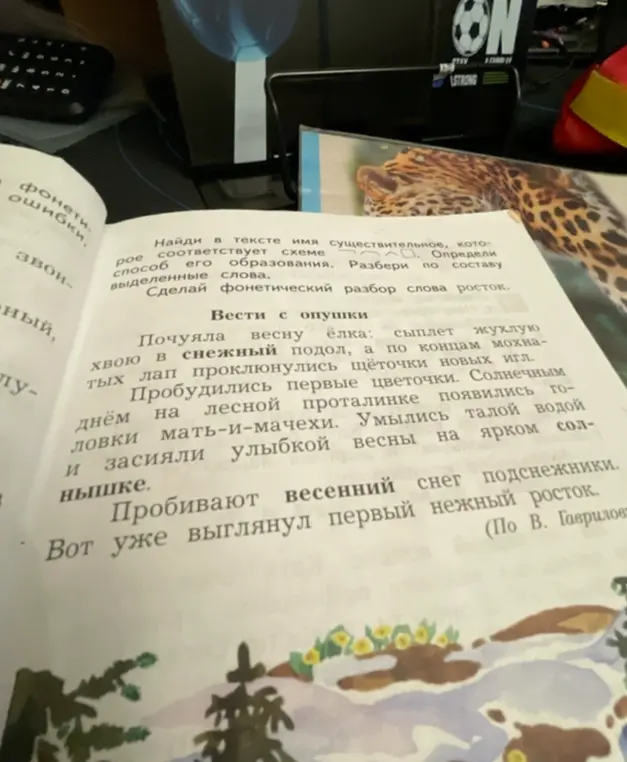Найди в тексте имя существительное, которое соответствует схеме