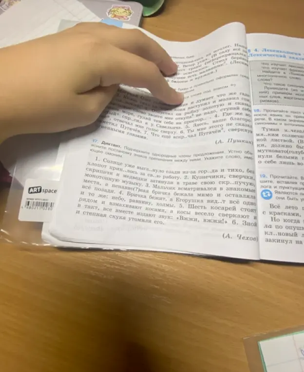 Подчеркни однородные члены предложения и устно объясни знаки препинания между ними в упражнении 17 под цифрой 1