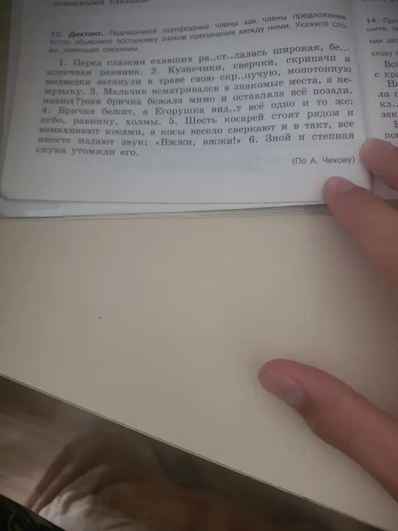 Можешь ли ты подчеркнуть однородные члены предложения, указать слово, имеющее омонимы и устно объяснить расстановку знаков препинания в упражнении 12?